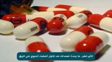 تأثير خطر.. ما يحدث لمعدتك عند تناول المضاد الحيوي على الريق